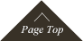 pagetop