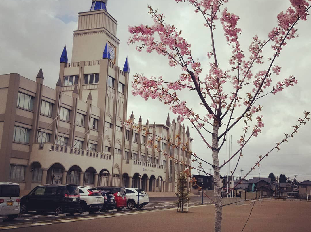 片山学園初等科　桜